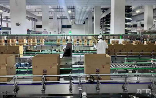 新質造零碳工廠 智慧酒香飄出，軟件定義釀造未來